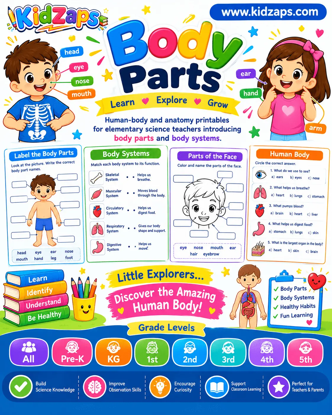 Body Parts worksheet preview